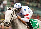Champion Stardom Bound Retired From Racing Champion Stardom Bound Retired From Racing