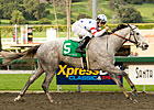 Stardom Bound Breezes for 'Anita Oaks