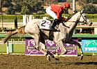 Stardom Bound Works for 3-Year-Old Debut Stardom Bound Works for 3-Year-Old Debut