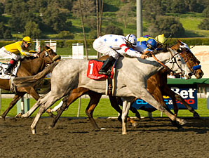 Stardom Bound Barely Best in 'Anita Oaks Stardom Bound Barely Best in 'Anita Oaks