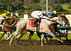 Stardom Bound Barely Best in 'Anita Oaks Stardom Bound Barely Best in 'Anita Oaks