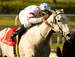 Stardom Bound Headed to Ashland Stakes Stardom Bound Headed to Ashland Stakes
