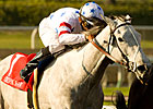 Stardom Bound Gets New Jockey for Oaks Stardom Bound Gets New Jockey for Oaks