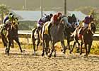Juvenile Fillies: California Star Juvenile Fillies: California Star