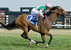Starformer Relishes Turf Course at Delaware Starformer Relishes Turf Course at Delaware