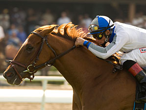 Starry Pursuit Retired Starry Pursuit Retired