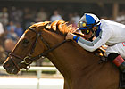 Starry Pursuit Retired Starry Pursuit Retired