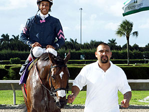 G1 Winner Starship Truffles Offered at F-T G1 Winner Starship Truffles Offered at F-T