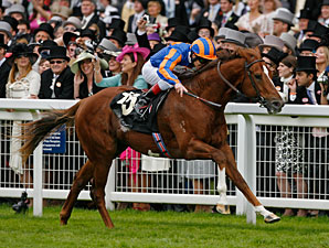 Starspangledbanner Soars in Golden Jubilee Starspangledbanner Soars in Golden Jubilee