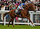 Starspangledbanner Soars in Golden Jubilee