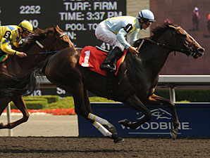 Ontario Matron: Stars to Shine Extends Streak Ontario Matron: Stars to Shine Extends Streak