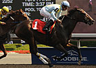 Ontario Matron: Stars to Shine Extends Streak Ontario Matron: Stars to Shine Extends Streak