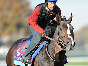 Juvenile Turf Entries Must Tune Up on Dirt Juvenile Turf Entries Must Tune Up on Dirt