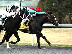 Turfway Expects Large Field for Vinery Spiral Turfway Expects Large Field for Vinery Spiral