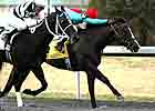 Turfway Expects Large Field for Vinery Spiral Turfway Expects Large Field for Vinery Spiral