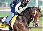 Haskin's Derby Report: Victor in the Slop Haskin's Derby Report: Victor in the Slop