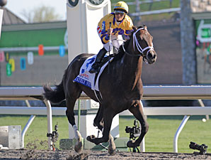 $50K Still Buys Quality Stakes Field in KY $50K Still Buys Quality Stakes Field in KY