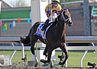 $50K Still Buys Quality Stakes Field in KY