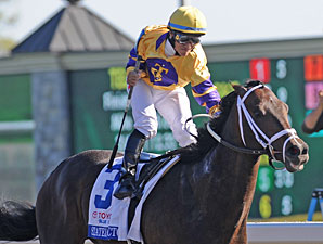 Maker Sets Plans for His Derby Qualifiers Maker Sets Plans for His Derby Qualifiers