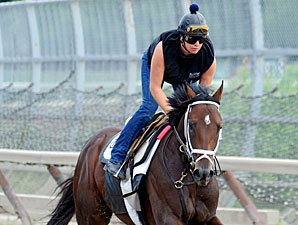 Stay Thirsty, Uncle Mo Work 5 Furlongs Stay Thirsty, Uncle Mo Work 5 Furlongs