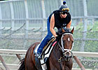 Stay Thirsty, Uncle Mo Work 5 Furlongs