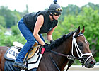 Belmont a 'New Beginning' by Evan Hammonds