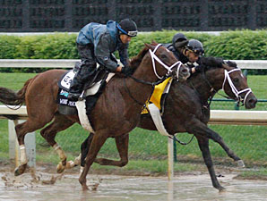 Stay Thirsty Sizzles; Mucho Macho Man Works Stay Thirsty Sizzles; Mucho Macho Man Works