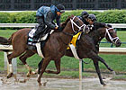 Stay Thirsty Sizzles; Mucho Macho Man Works