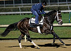 Stay Thirsty to Stand at Ashford When Retired