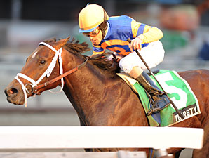 Blinkers Likely for Stay Thirsty in FL Derby Blinkers Likely for Stay Thirsty in FL Derby