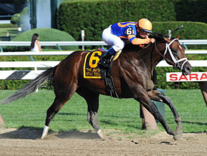 Stay Thirsty Dominates Jim Dandy Stay Thirsty Dominates Jim Dandy