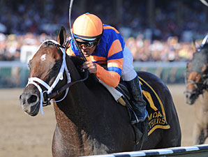 Stay Thirsty to Stand for $17,500 at Ashford Stay Thirsty to Stand for $17,500 at Ashford