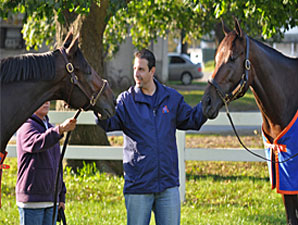 Uncle Mo, Stay Thirsty Work at Belmont Uncle Mo, Stay Thirsty Work at Belmont