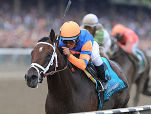 Stay Thirsty Drills Five Furlongs at Belmont Stay Thirsty Drills Five Furlongs at Belmont