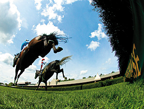 Steeplechase Safety Task Force Formed Steeplechase Safety Task Force Formed