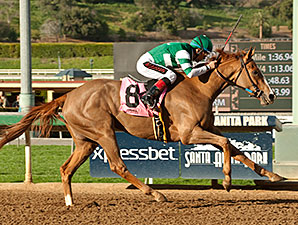 Stellar Wind Sails to Santa Ysabel Victory Stellar Wind Sails to Santa Ysabel Victory
