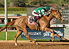 Stellar Wind Sails to Santa Ysabel Victory Stellar Wind Sails to Santa Ysabel Victory