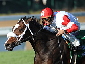 Ashland Stakes Attracts 80 Nominees Ashland Stakes Attracts 80 Nominees
