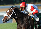 Stephanie's Kitten Scratches Out JF Turf Win Stephanie's Kitten Scratches Out JF Turf Win