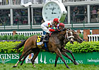 Stephanie's Kitten Comes Back a Winner Stephanie's Kitten Comes Back a Winner