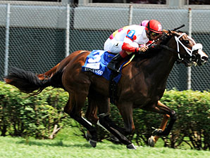 Edgewood: Stephanie's Kitten Sets Stakes Mark Edgewood: Stephanie's Kitten Sets Stakes Mark
