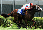 Edgewood: Stephanie's Kitten Sets Stakes Mark