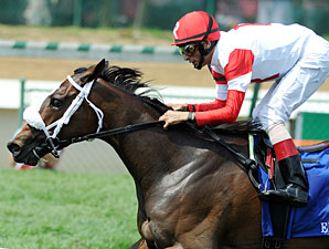 Schwartz Filly Samitar Eyes Lake George Schwartz Filly Samitar Eyes Lake George