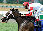 Schwartz Filly Samitar Eyes Lake George Schwartz Filly Samitar Eyes Lake George