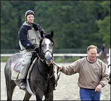 Steve Haskin's Belmont Report: Time to Roll the Dice Steve Haskin's Belmont Report: Time to Roll the Dice