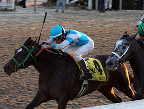 Stonehouse Doesn't Crumble in Mineshaft Upset Stonehouse Doesn't Crumble in Mineshaft Upset