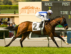 Stoneside Shakes Up San Simeon Handicap Stoneside Shakes Up San Simeon Handicap