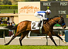 Stoneside Shakes Up San Simeon Handicap