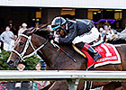 Stopshoppingdebbie Runs Win Streak to Nine Stopshoppingdebbie Runs Win Streak to Nine
