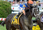 Stopchargingmaria Cashes in Black-Eyed Susan Stopchargingmaria Cashes in Black-Eyed Susan